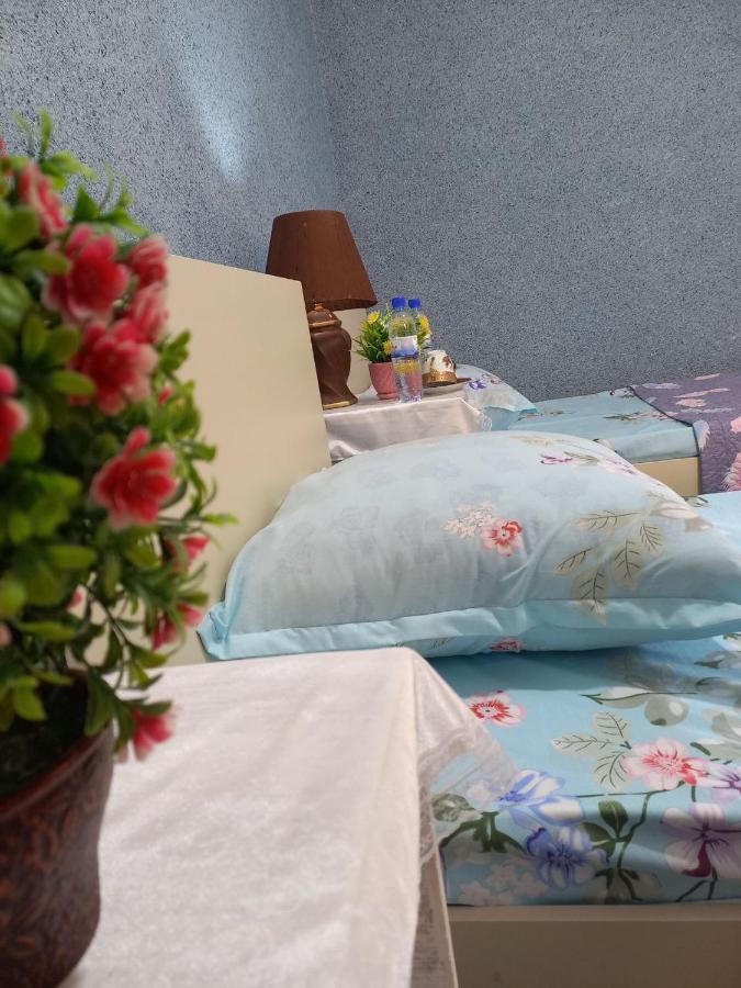 Lion Guest House Buchara Zewnętrze zdjęcie
